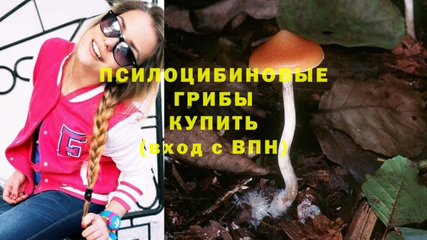 ПСИЛОЦИБИНОВЫЕ ГРИБЫ Дмитриев