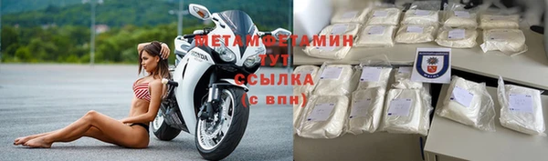 ПСИЛОЦИБИНОВЫЕ ГРИБЫ Дмитриев