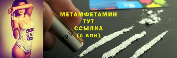 ПСИЛОЦИБИНОВЫЕ ГРИБЫ Дмитриев