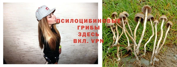 круглые Дмитровск