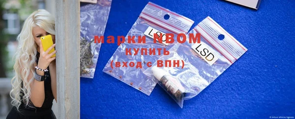 ПСИЛОЦИБИНОВЫЕ ГРИБЫ Дмитриев
