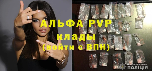 ГАЛЛЮЦИНОГЕННЫЕ ГРИБЫ Гусь-Хрустальный