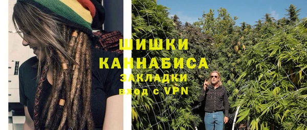 ПСИЛОЦИБИНОВЫЕ ГРИБЫ Дмитриев